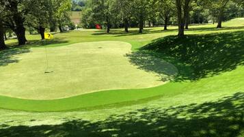 Um campo de golfe com putting green, árvores e haste de bandeira.
