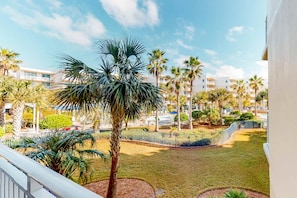 Vista de una zona residencial con palmeras, un jardín cercado y edificios de apartamentos al fondo.