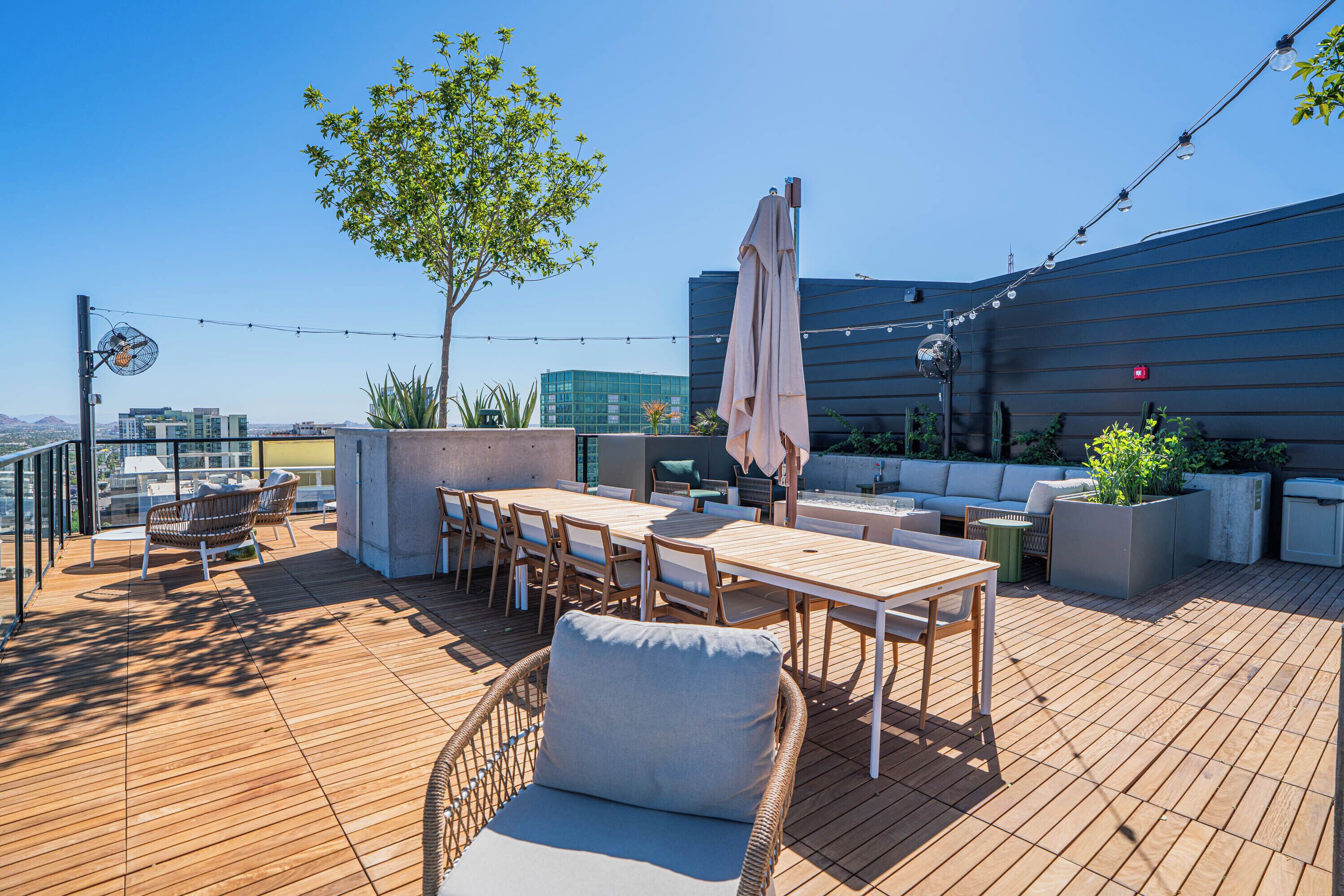 Full-sized fridge, microwave, oven, stovetop