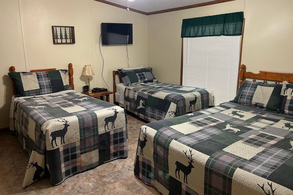 Cabin 18 | 熨斗/熨衣板、免費無線上網