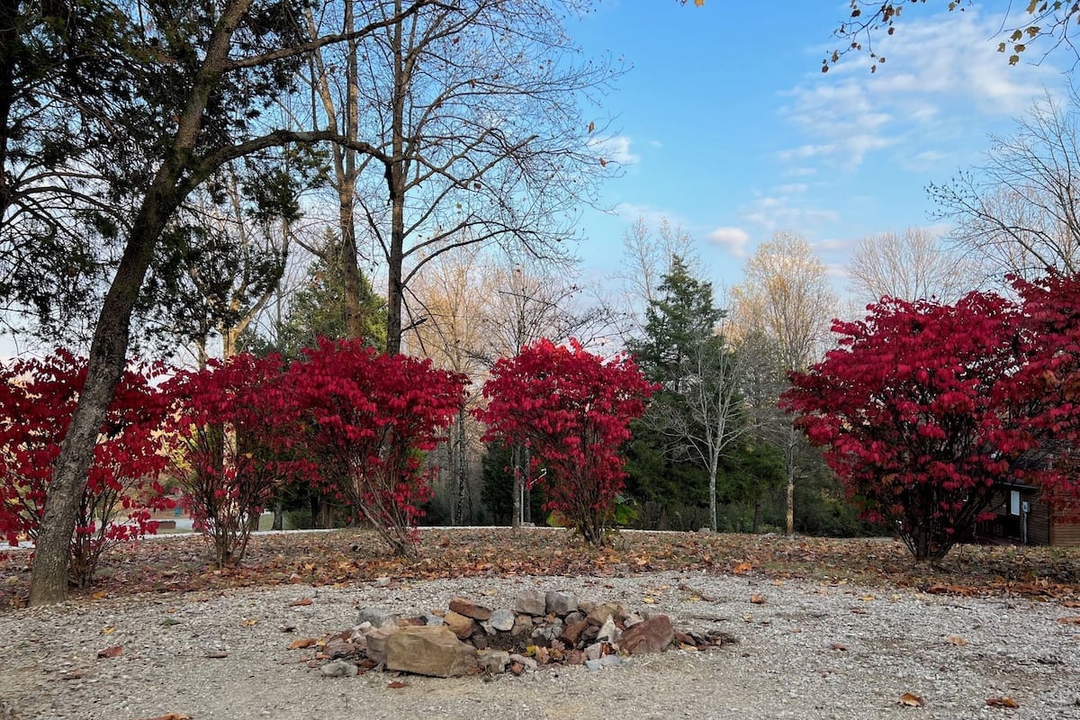 Cabin 12 | Vasaló/vasalódeszka és ingyenes wifi