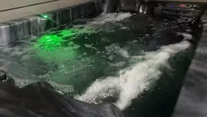 Un bain à remous entouré d’une clôture en bois, avec des plantes en arrière-plan.