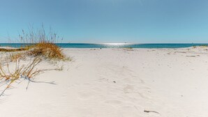 Una spiaggia con sabbia, vegetazione rada e cielo sereno.