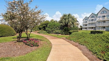 Terrain de l’hébergement