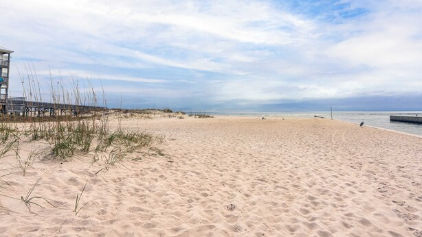 A sandy beach with a wooden boardwalk and dunes. - Dog-friendly house with private pool - dock and fishing pier available (Gulf Shores)