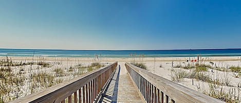 بالقرب من الشاطئ