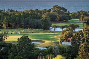 Un campo de golf con un cuerpo de agua al fondo, rodeado de árboles densos y algunas palmeras.