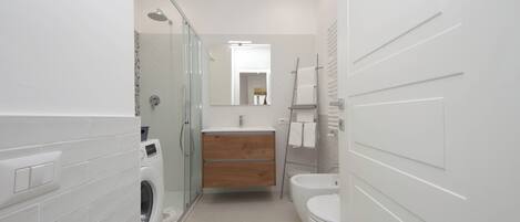 Shower, hair dryer, bidet, towels