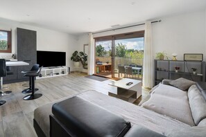TV, video games, DVD player - Villa with Pool, Spa and Sauna (Saint-Nazaire-d'Aude)