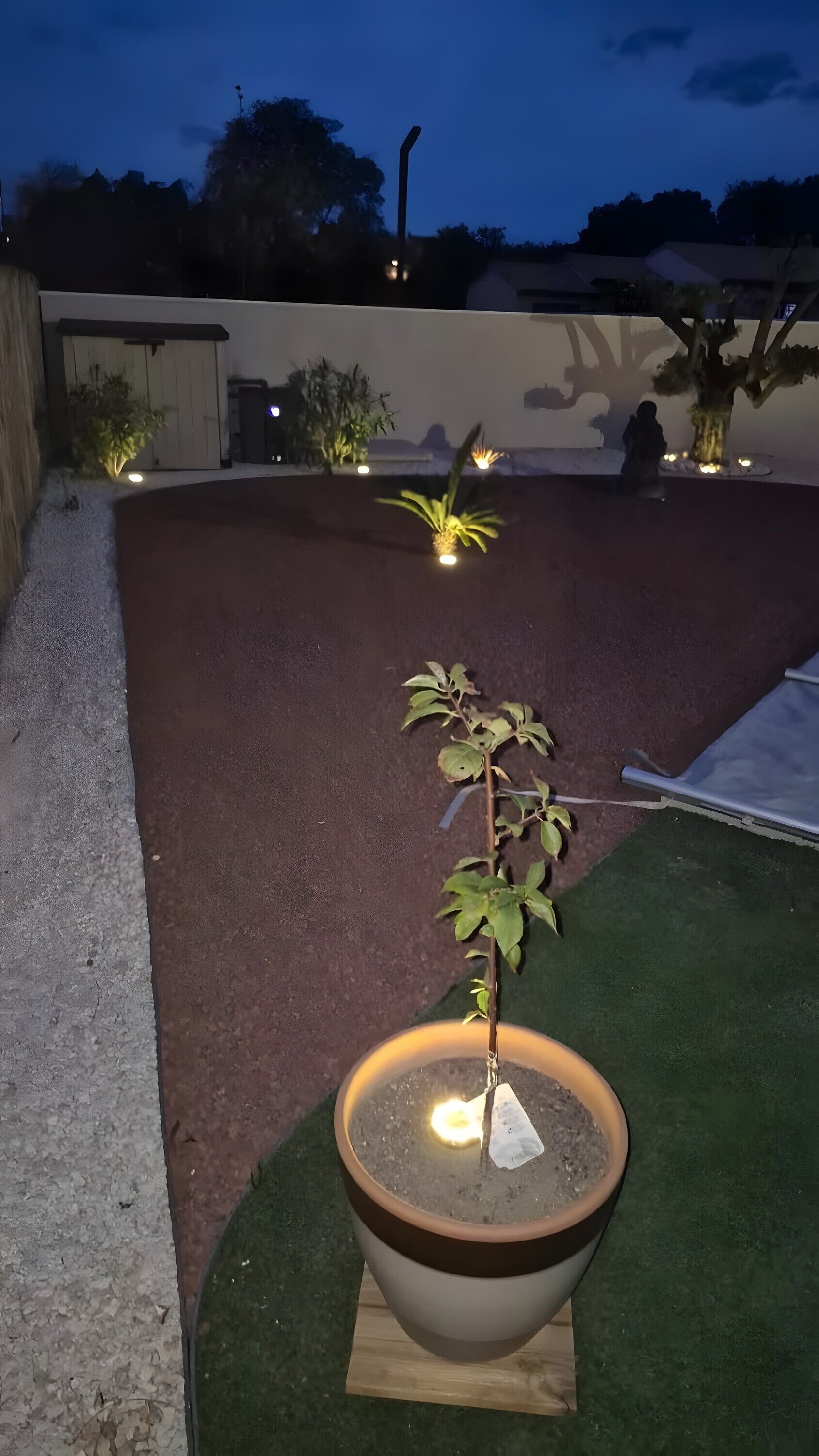 Overnattingsstedets uteområder