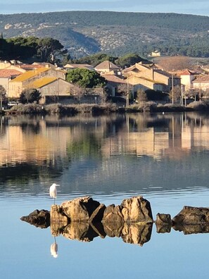 Photo non classée, 5 sur 31, bouton