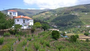 A vineyard with rows of grapevines, a white building with a red roof, and a hilly landscape in the background.