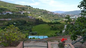 A terraced vineyard landscape with a small pool and a flower bed.