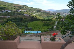 A terraced vineyard landscape with a small pool and a flower bed. - Douro Vineyard Retreat w/ Pool & Fireplace - Sleeps 4 (up to 6) (Porto)