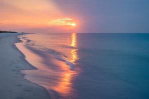 On the beach - Gulf-Front Condo w/ Gorgeous Views, Balcony & Shared Pools/Hot Tubs/Gym (Gulf Shores)