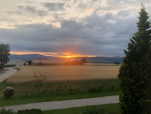 Nicht klassifiziertes Bild, 4 von 12, Schaltfläche