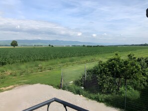 Botó d’imatge sense classificar, 4 de 12