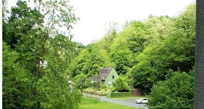 Koblenz Valley Hotel and Spa Double Room