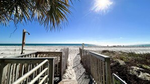 A wooden boardwalk leading to a beach with a palm tree overhead and a clear blue sky. - Oceanfront condo with pool, grilling area, alfresco dining, internet, W/D, & AC (Gulf Shores)
