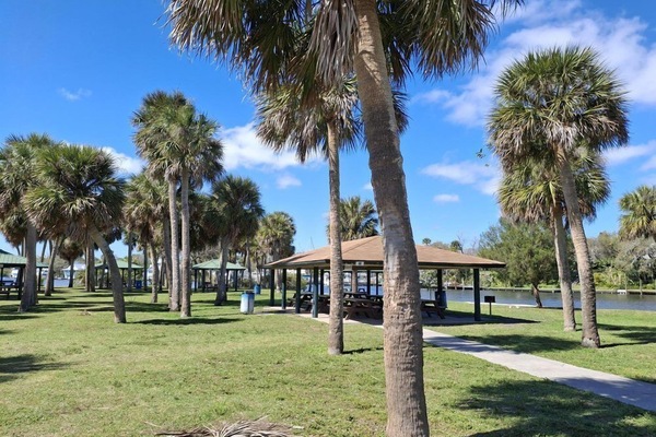 Relax under swaying palms in this serene park setting, perfect for a peaceful afternoon.