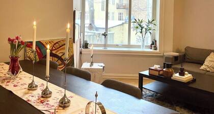 Central and Large 2-bedroom Apartment in Oslo