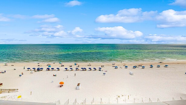 A beach with umbrellas and lounge chairs, a clear sky, and calm sea. - Beachfront condo with shared pool, outdoor shower, and beach access (Gulf Shores)