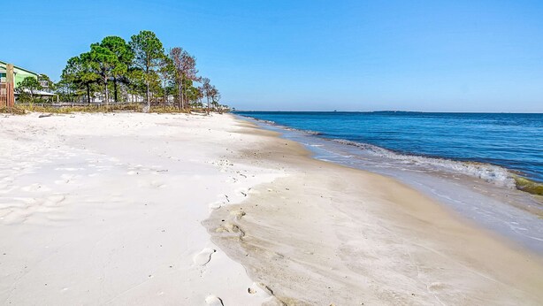 Ein Strand mit blauem Himmel, sandigem Ufer und einigen Bäumen.