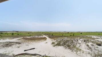 A coastal landscape with a sandy path, green vegetation, and a distant pier.