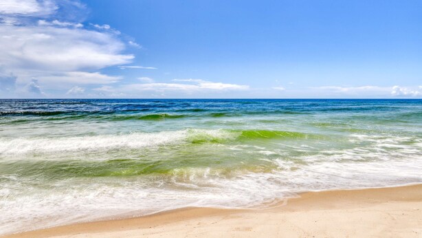 Ein Strand mit klarem, blauem Wasser und einem Sandufer.