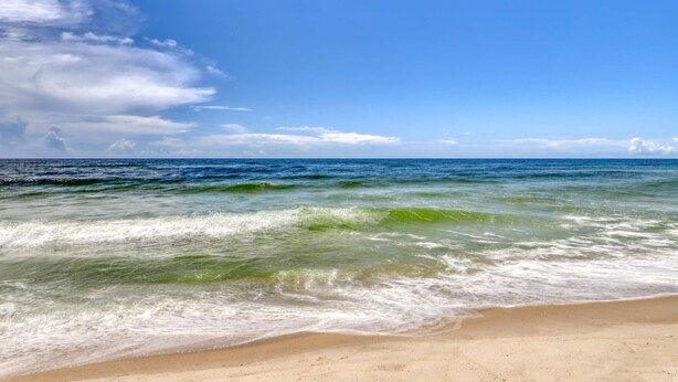 Ein Strand mit blauem Himmel und Meereswellen.