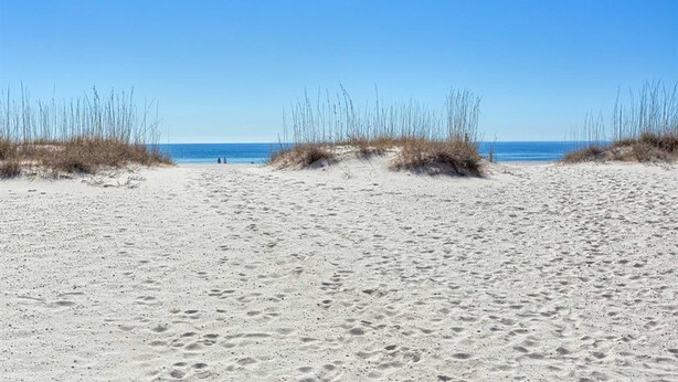 Een zandstrand met weinig begroeiing en een helderblauwe lucht.