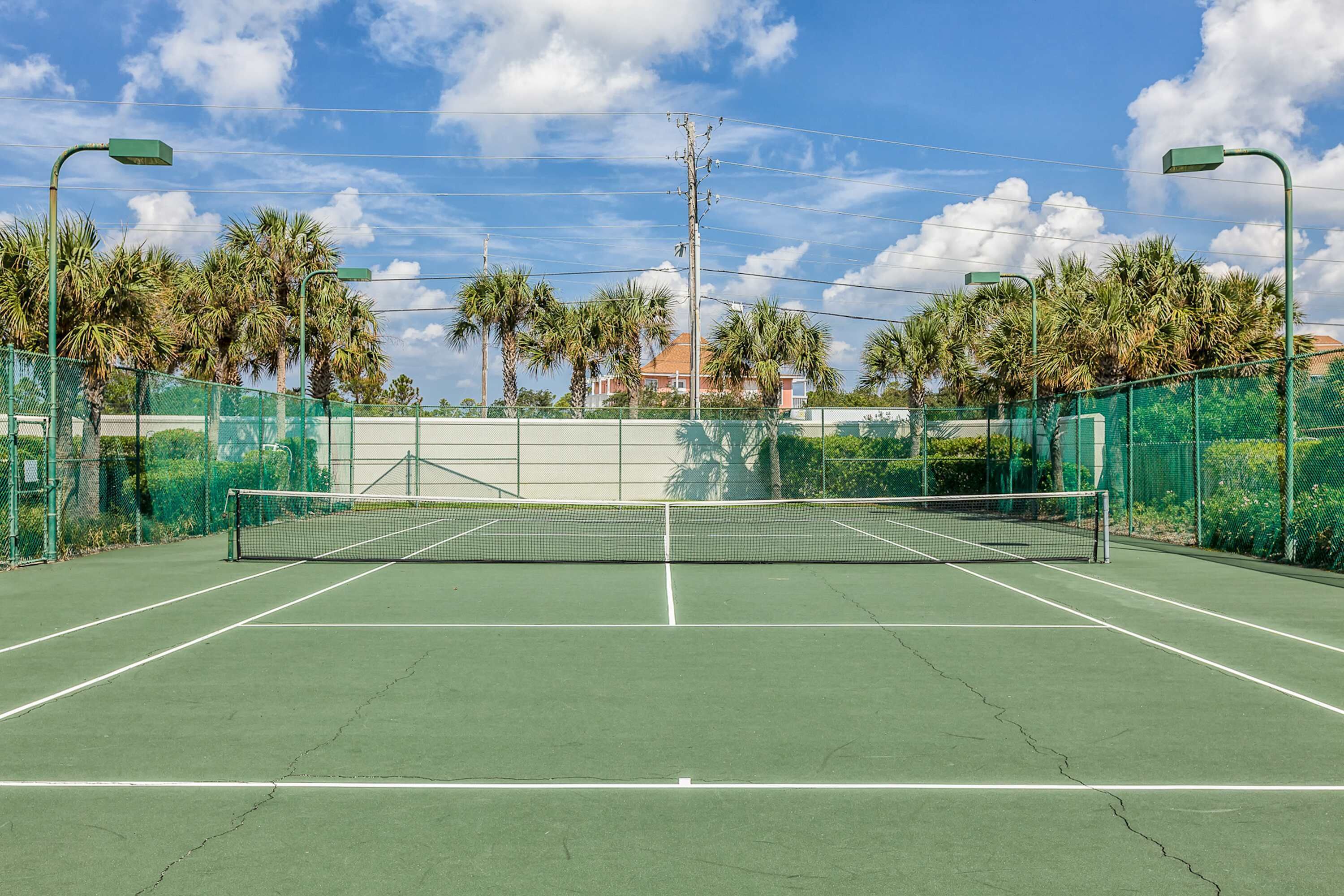 Ein Tennisplatz mit Netz, umgeben von grünen Zäunen und Palmen.