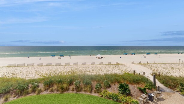 Ein Strand mit sandigem Ufer, einer grasbewachsenen Vordergrund und einem wolkenlosen Himmel.