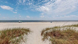 Une plage avec du sable, de l’herbe et un ciel dégagé.
