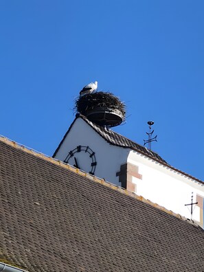 Botó d’imatge sense classificar, 2 de 15