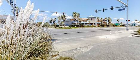 A street intersection with traffic lights, palm trees, and a building with a sign.