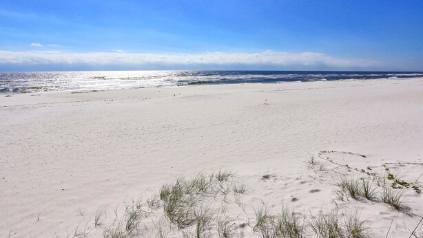 Ein Strand mit Dünen, wenig Vegetation und blauem Himmel.