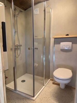 Un espace douche doté d’une porte en verre, de toilettes et d’une étagère en bois avec un distributeur de serviettes.