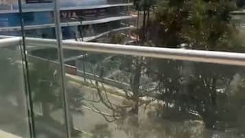 Luxe studio | Terrein van de accommodatie