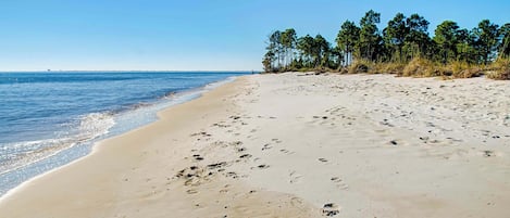 On the beach