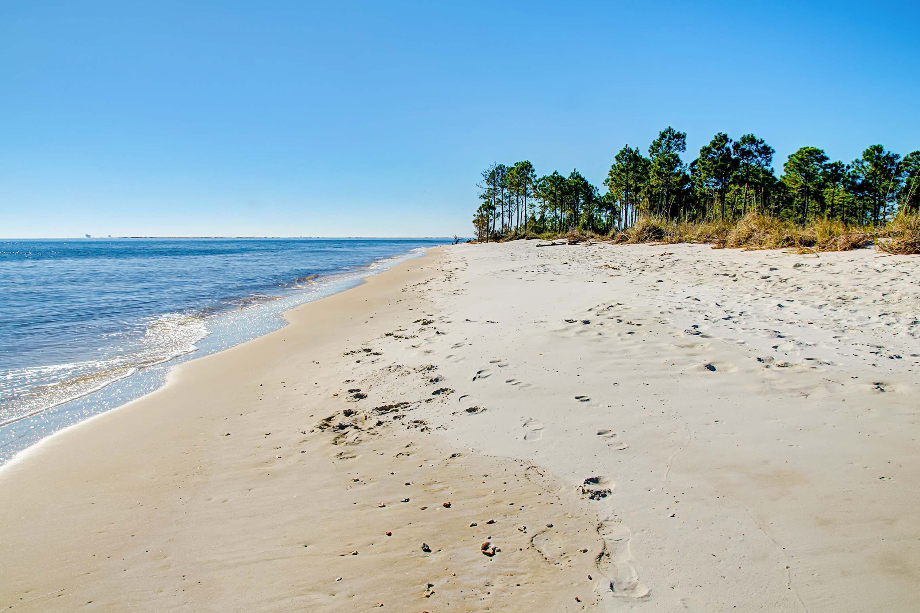 Ein sandiger Strand mit Fußspuren, einem klaren Himmel und einer Baumreihe.