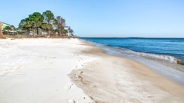 Een strand met heldere lucht, een zandstrand en bomen.