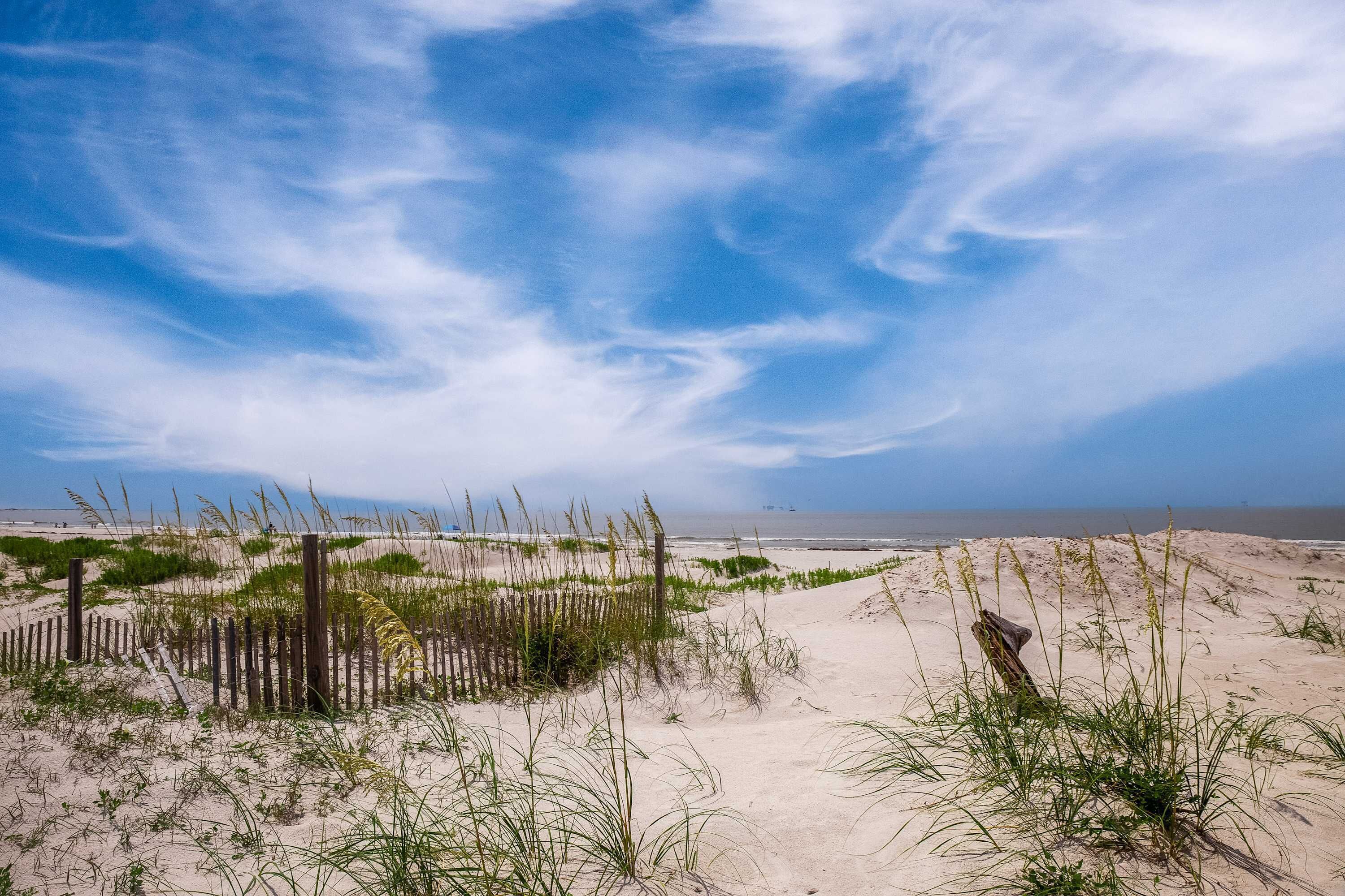 Une plage de sable avec une végétation clairsemée et une clôture en bois.