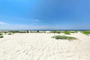 A sandy beach with green vegetation and a clear blue sky. - Dog-friendly seaside home with WiFi, deck, amazing views, minutes from beach (Dauphin Island)