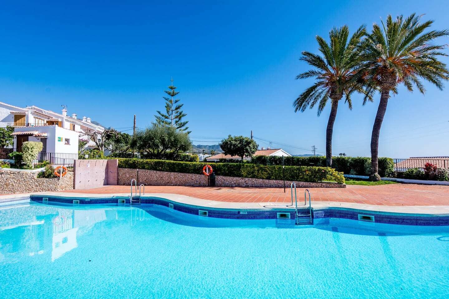 A swimming pool with clear blue water, surrounded by a stone wall and palm trees.