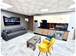 Un espace de vie compact comprenant un canapé, une table basse, un téléviseur fixé au mur, un coin cuisine avec un lave-linge et un four à micro-ondes.