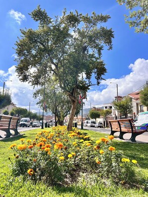 Property grounds - Casa Montes Pardo (Cusco)