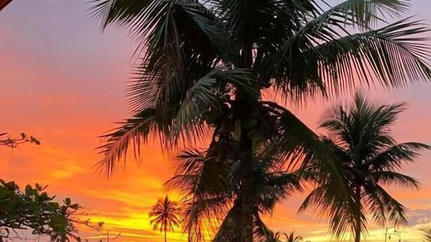 A sunset view with palm trees and a road. - Santa Clara Pousada (Guarujá)