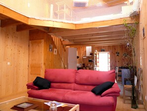 Télévision, cheminée, jeux vidéo, lecteur de DVD