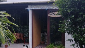 Eine Villa mit Satellitenschüssel, einer Katze und Topfpflanzen.